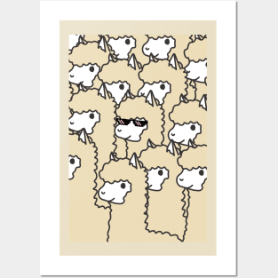 Lots of cute alpacas Posters and Art